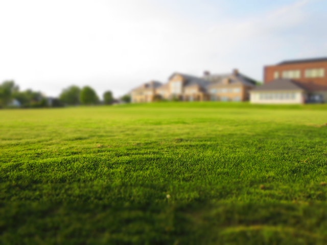 Lush green lawn in Maryland with blurred residential buildings in the background, illustrating site preparation for custom home construction.